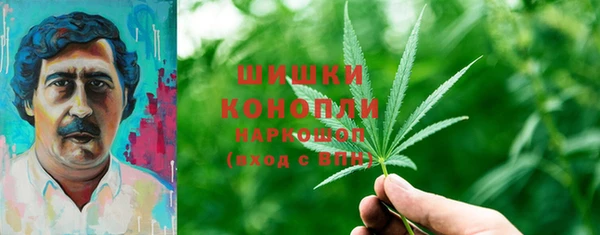 ешки Алзамай