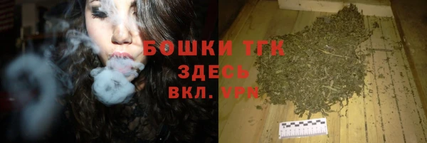 твердый Алексин